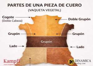 Partes de una pieza de cuero vaqueta vegetal: cogote, doble grupón, grupón, lado y falda
